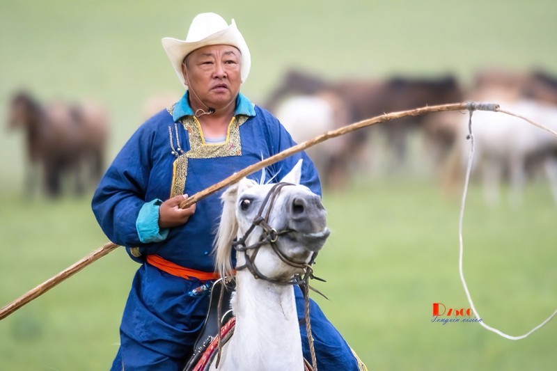马背上的风采（30）