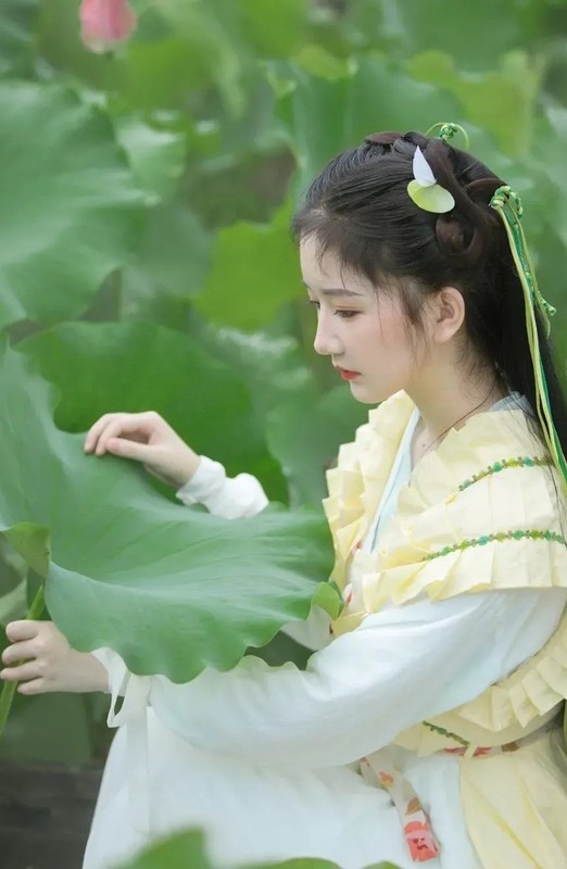 荷池翠绿