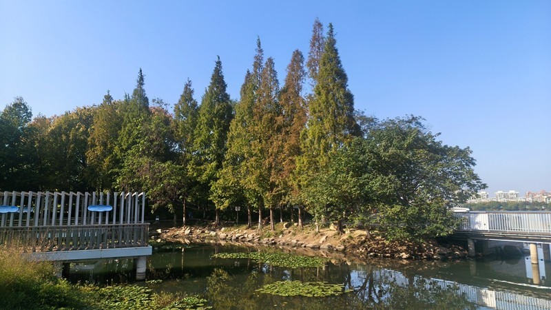 银湖漫步