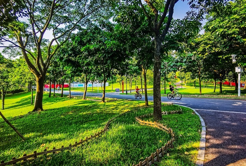 深圳笔架山公园 掠影