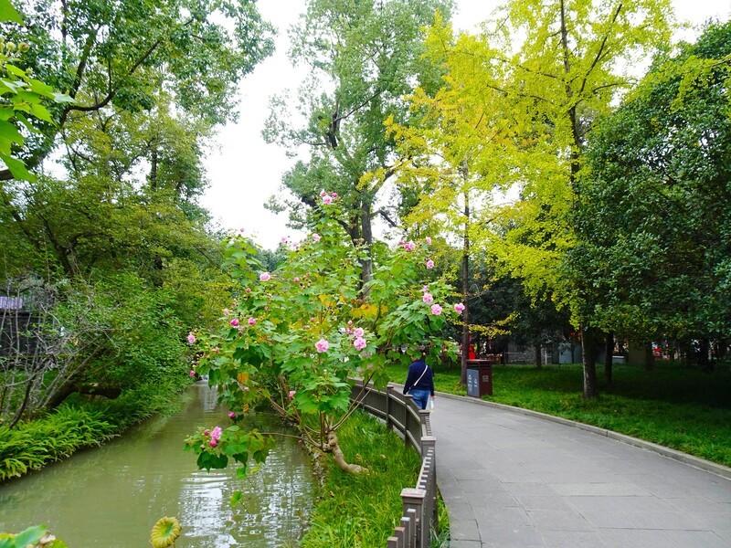 静静地武侯祠西区