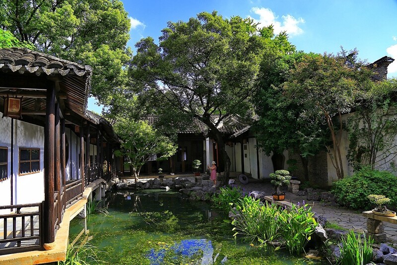 小景随拍（14）