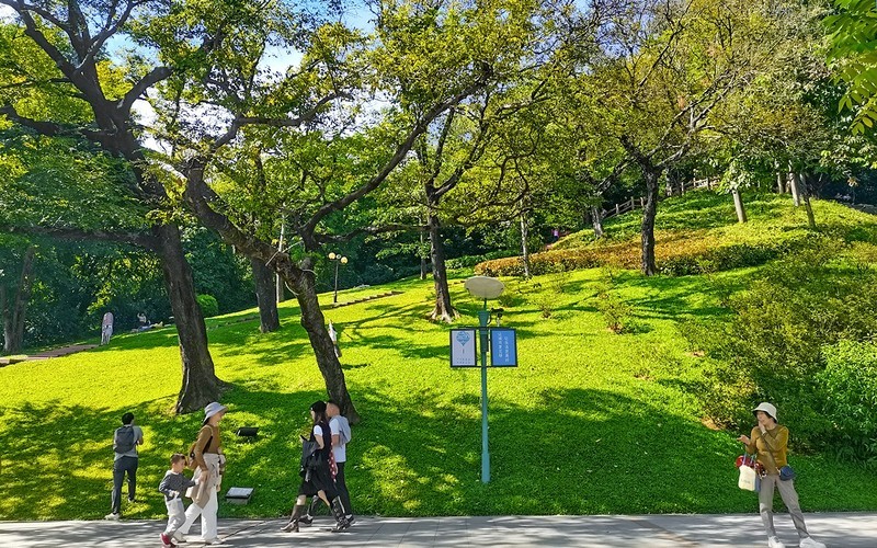 [26120] 云萝植物园（3）