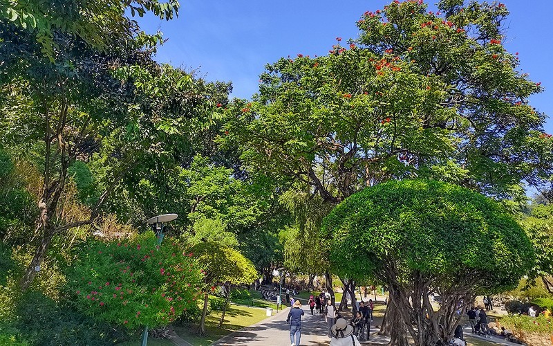 [26120] 云萝植物园（3）