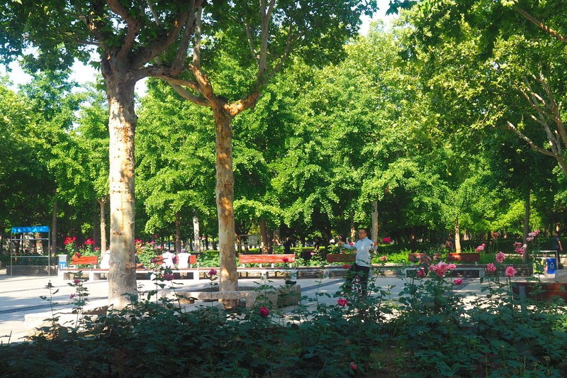 初夏·东环公园