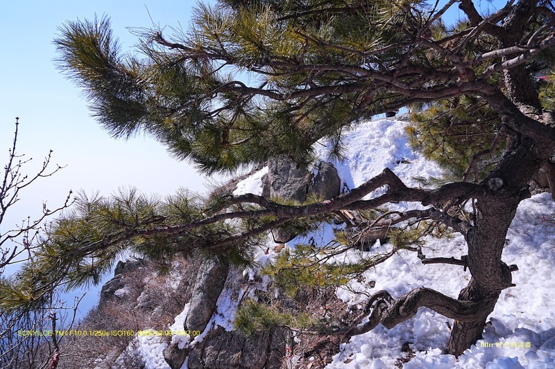 登泰山 随拍（二）