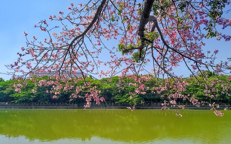 [26320] 石井河畔（2）