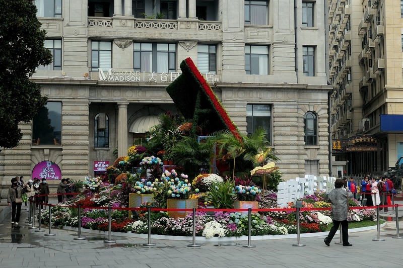 江汉关菊花展上