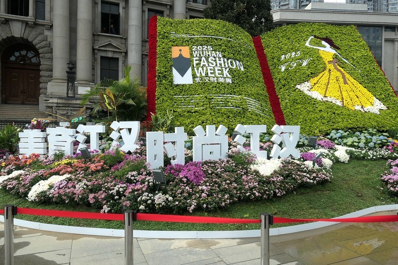 江汉关菊花展上