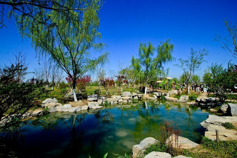 随拍——白泉春色