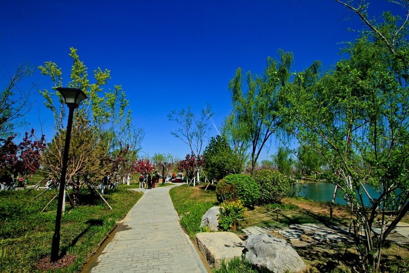 随拍——白泉春色