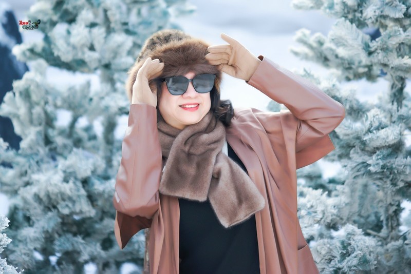 【冬季时光】---月媚