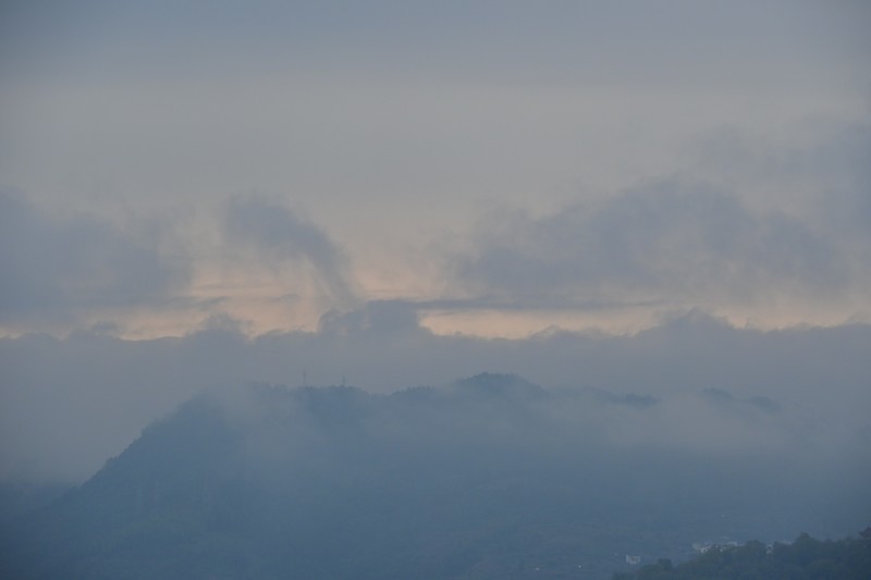 山野迷茫