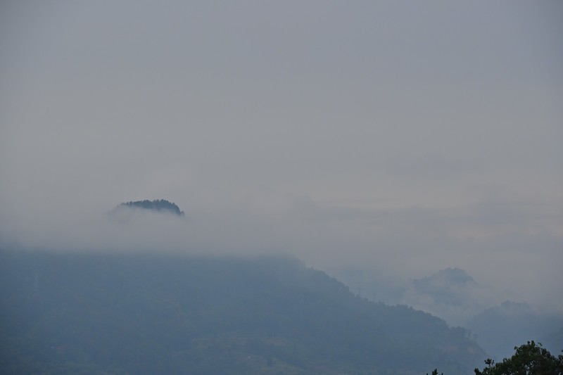 山野迷茫