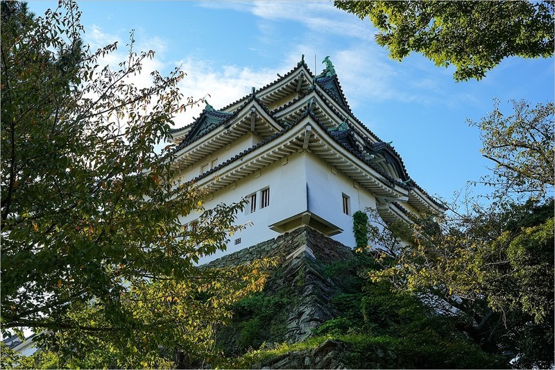 2026年第0644贴 -和歌山城旅拍（1030）