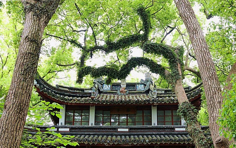 1791【不老松：纪实摄影】〖山河锦绣、詩画江南〗奉化溪口蒋宋故居中宋美龄的字画！