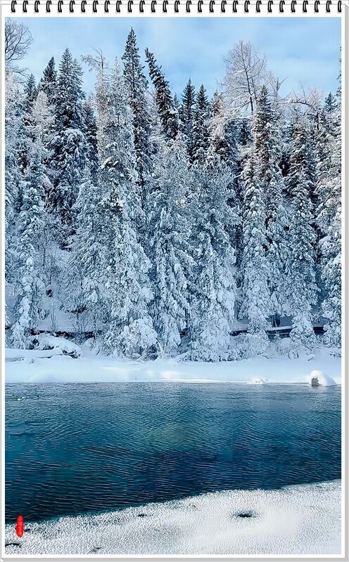 2026年-喀纳斯河风光抓拍-0052