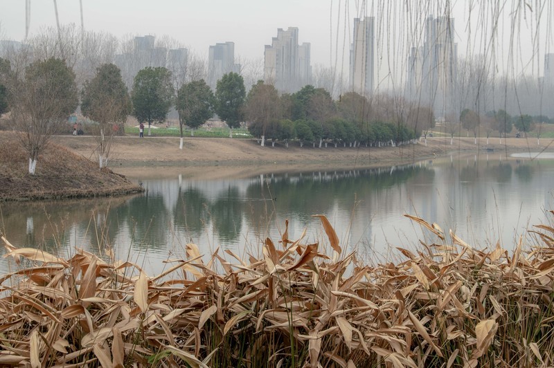 庐州印象（557）北涝圩湿地