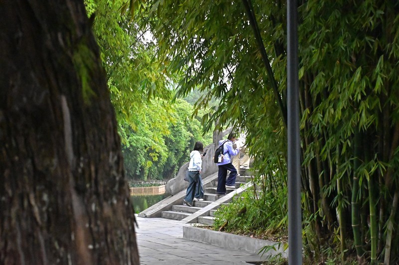 秋日漫步，秋水悠悠