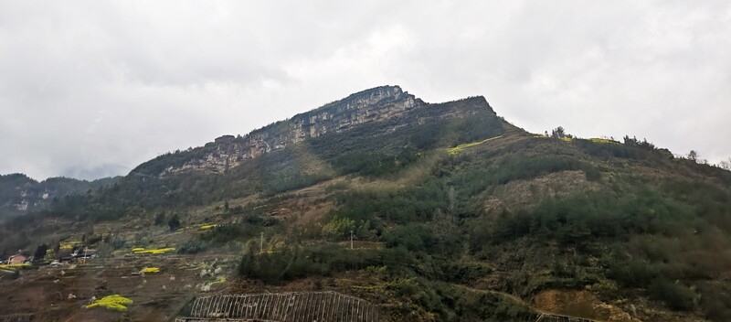 2025.3.16走进贵州道真大山随拍（2）