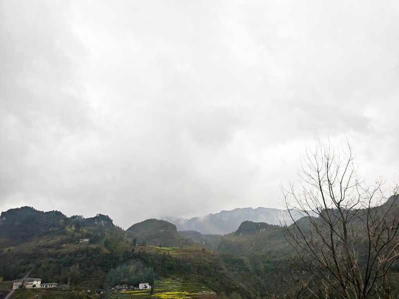 2025.3.16走进贵州道真大山随拍（2）