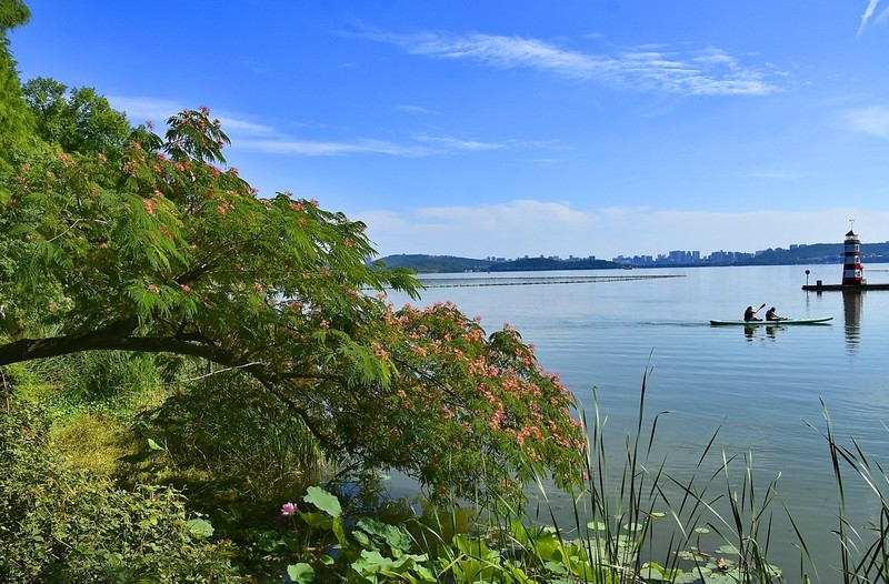 东湖风光