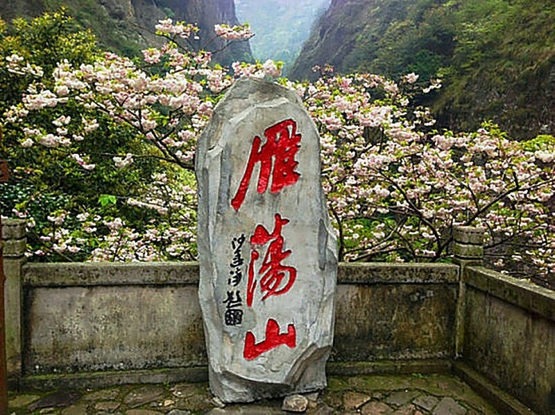 1794【不老松：纪实摄影】〖山河锦绣、詩画江南〗云雨雁荡山！