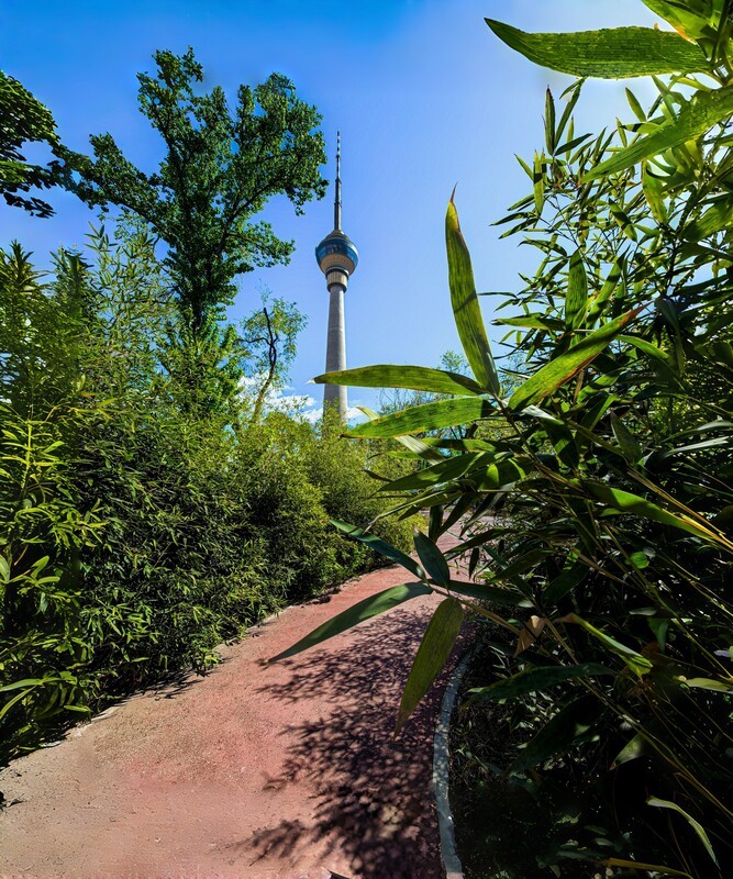 手机游拍20260406《35》