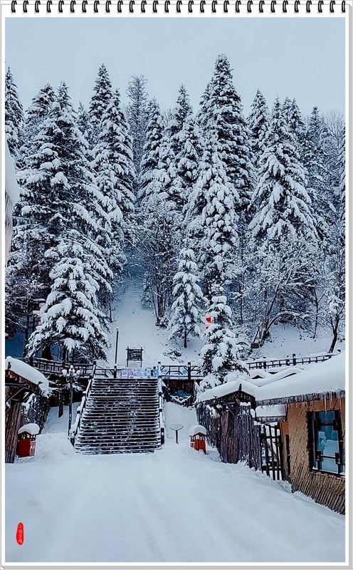 2026年-中国雪乡纪实抓拍-0055