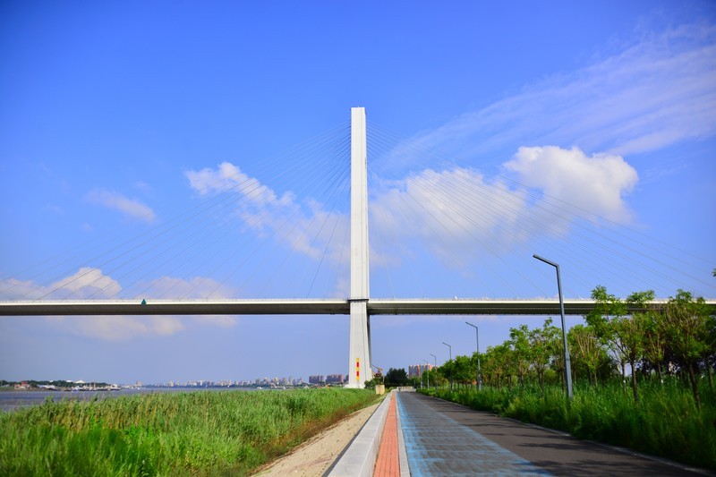 骑行路上拍几张