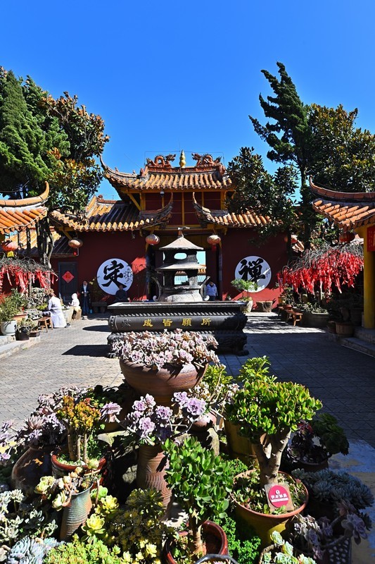 冬末的翠峰山（叁）