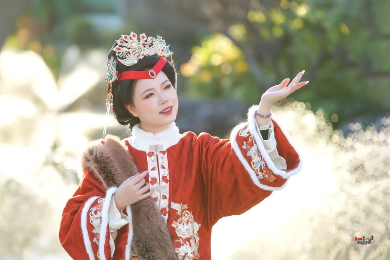 【琏府凤影】---莉莉