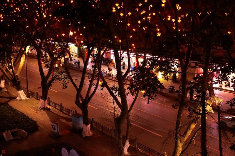 数九寒天拍街景