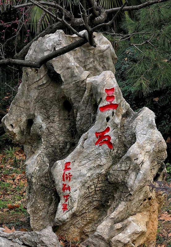 武汉梅花园（六）