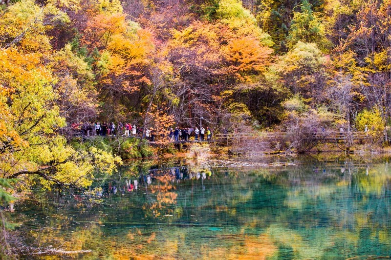 外出随拍（799）.