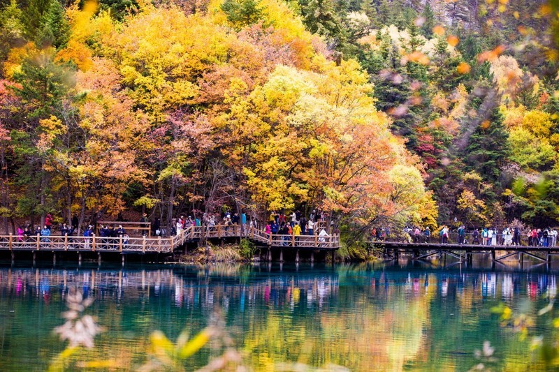 外出随拍（799）.