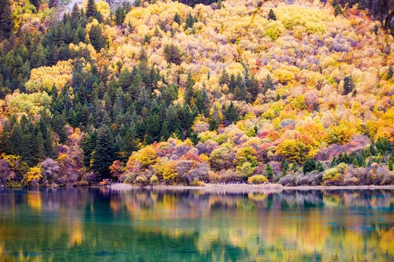 外出随拍（799）.