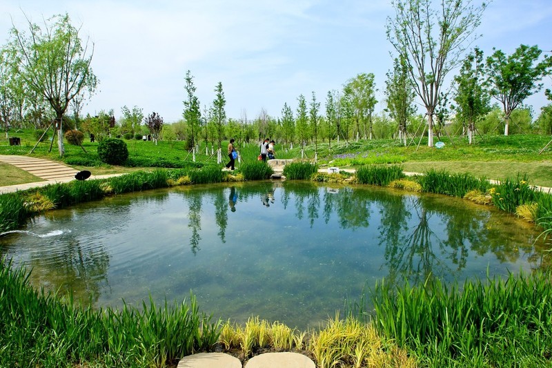 杂拍——白泉春色