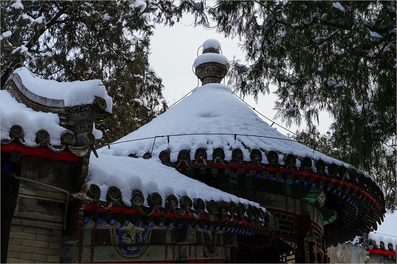 2026年第0063贴-颐和园风光纪实游拍（0122）