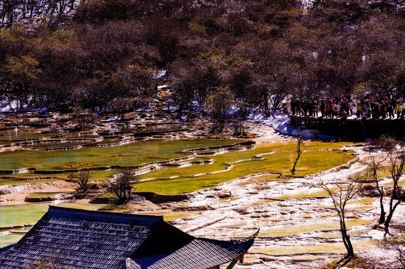 外出随拍（805）.