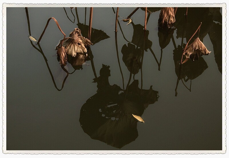 寒水浮生未了痕