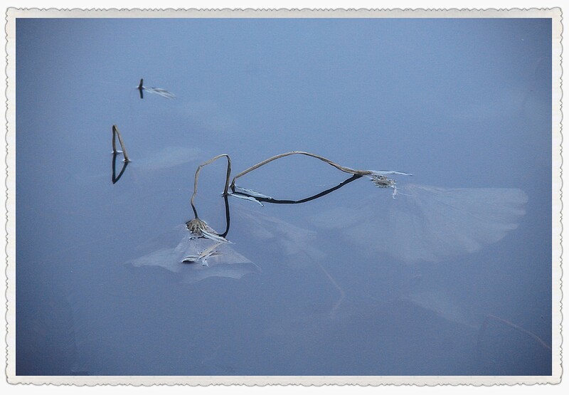 寒水浮生未了痕