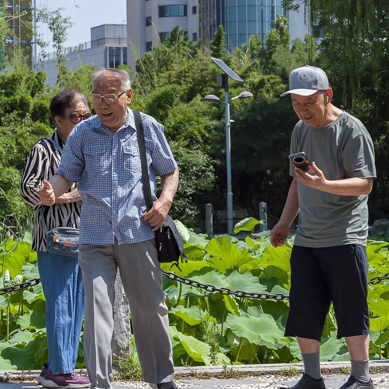 2026泉城公园的夏天