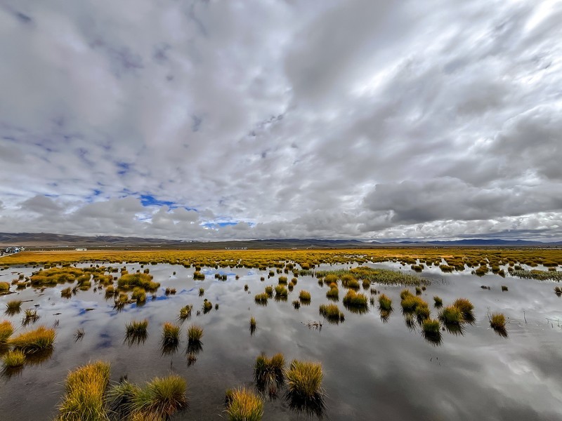 2026年- 甘南风光纪实旅拍-0289