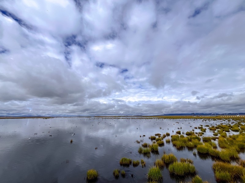 2026年- 甘南风光纪实旅拍-0289