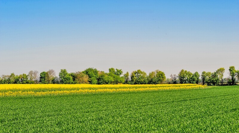 莱茵平原之色（南德）