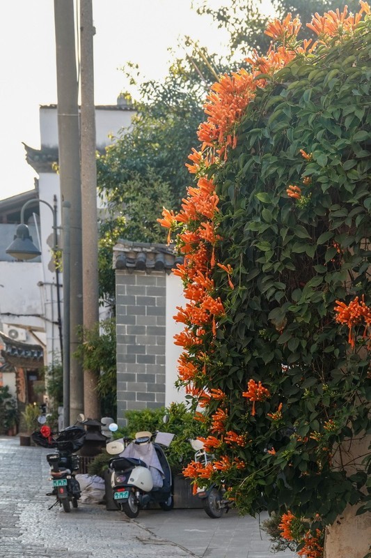 建水古城3-----小街随拍