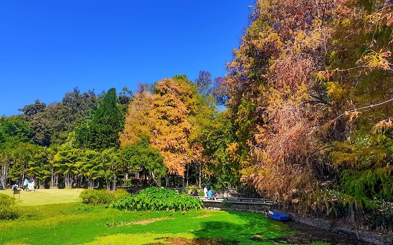 [26027] 天河公园