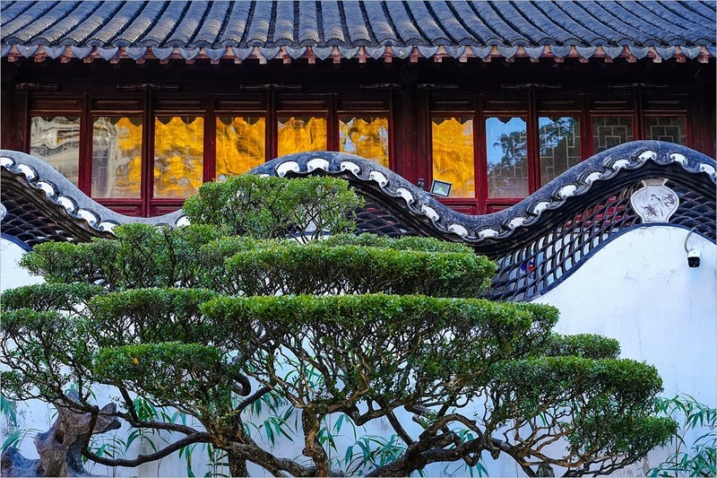 2026年第0071贴-上海豫园纪实游拍（0125）