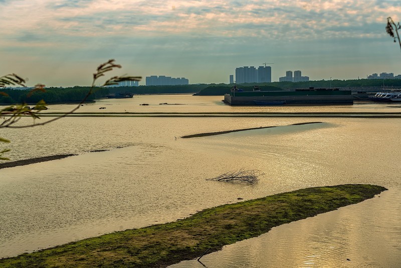 茂名电白 · 水东湾红树林